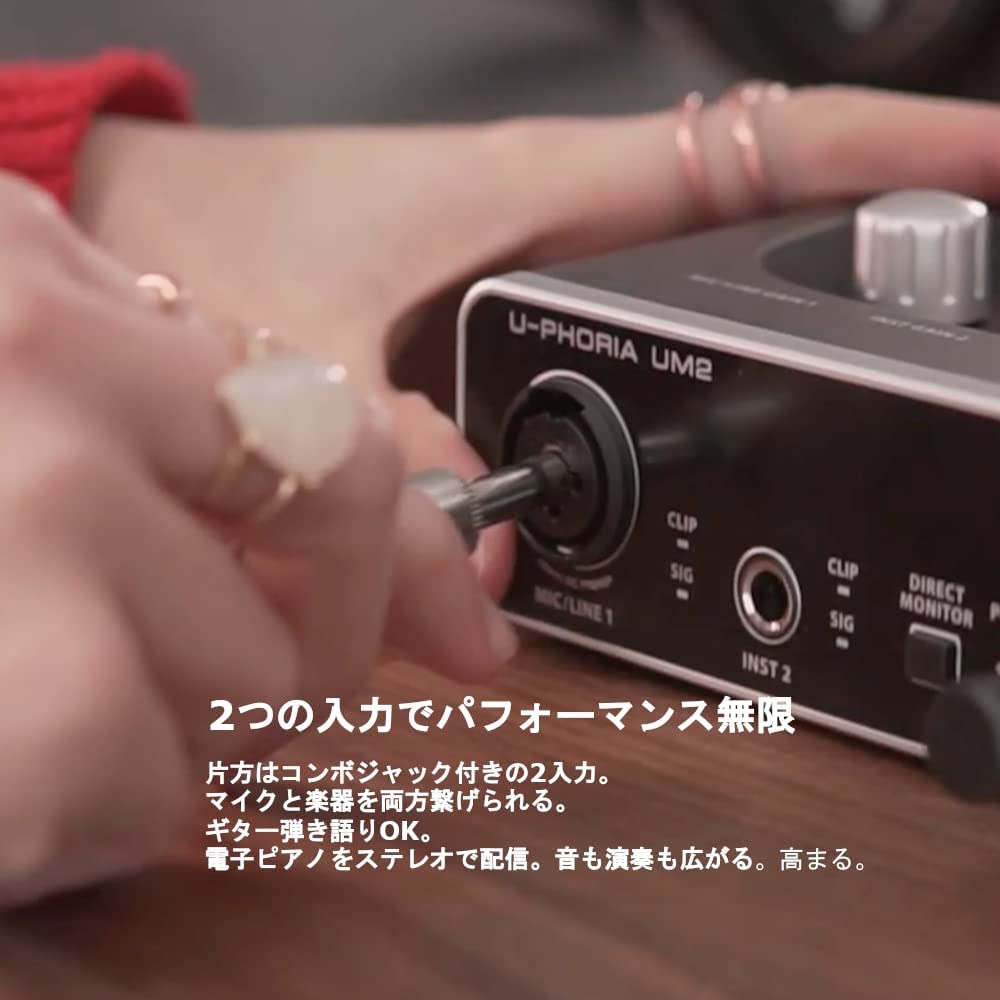 Behringer U-Phoria UM2 USB Audio Interface - Image 16