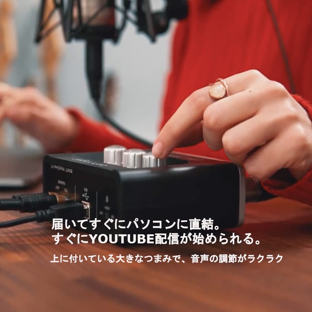 Behringer U-Phoria UM2 USB Audio Interface - Image 14