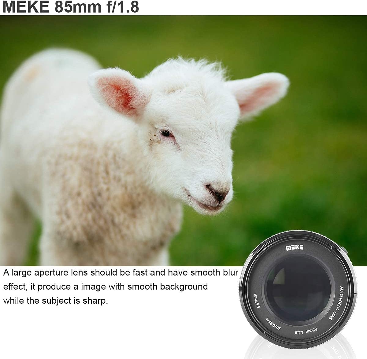 Meike 85mm F1.8 Auto Focus Full Frame Large Aperture Lens Compatible with Nikon F Mount DSLR Cameras D850 D750 D780 D610 D3200 - Image 4