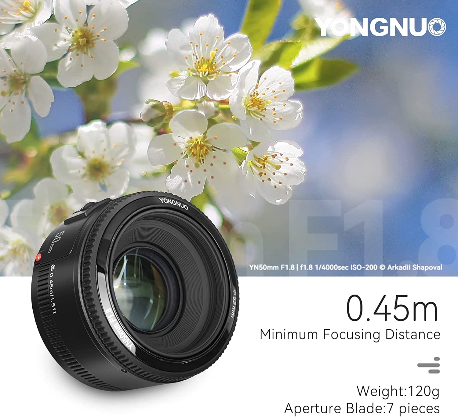 YONGNUO YN50mm F1.8 Lens Large Aperture Auto Focus Lens Compatible with Canon EF Mount EOS Camera - Image 3