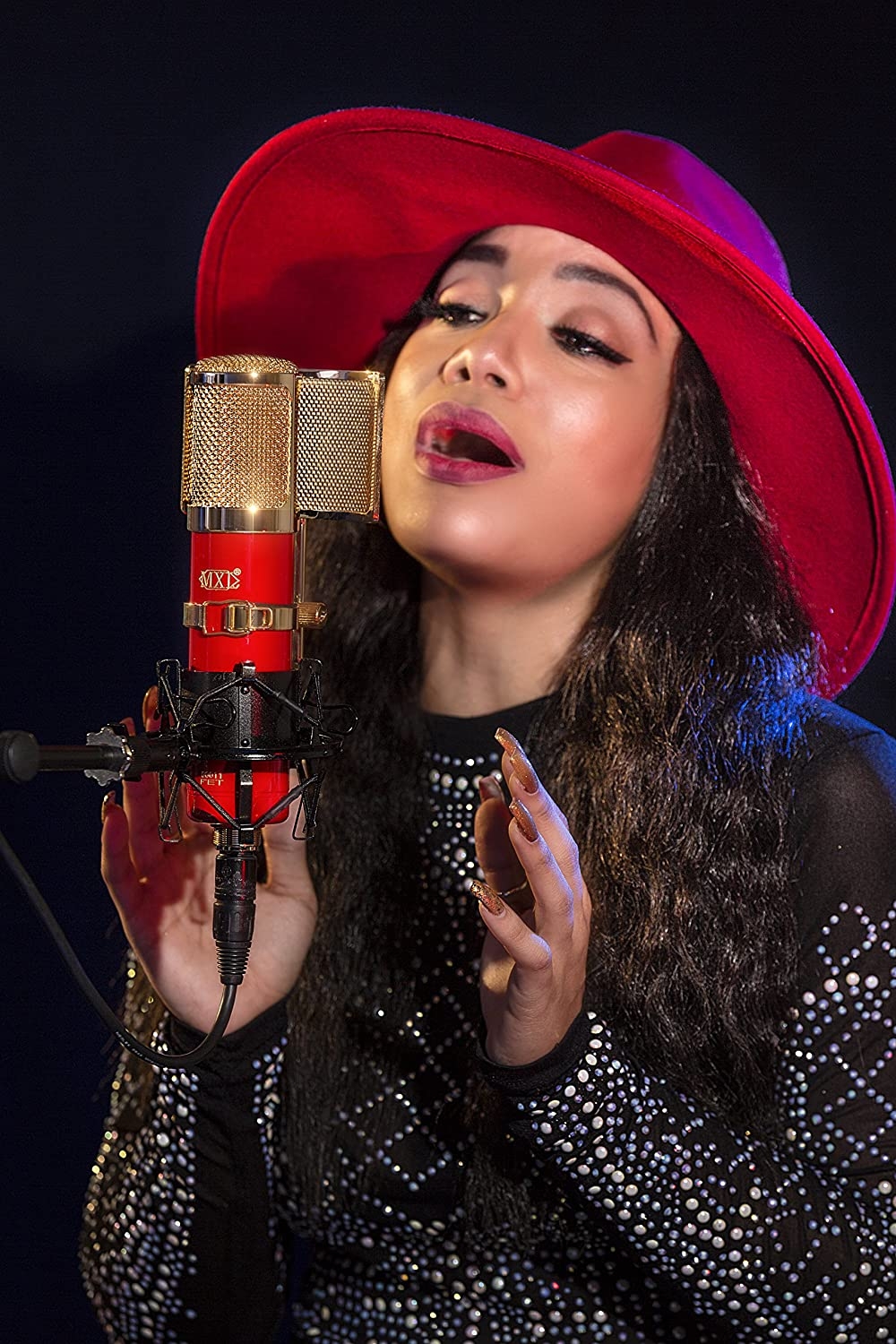 MXL Genesis HE Premium Mullard Tube Microphone Bundle - Heritage Edition - Image 2