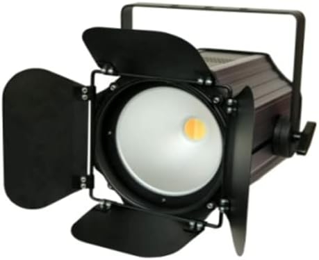 Stage Par Lights Professional, 200W LED COB Par Light Stage Light Wash Lighting Cold & Warm White Spotlight, COB DJ Wash Par
