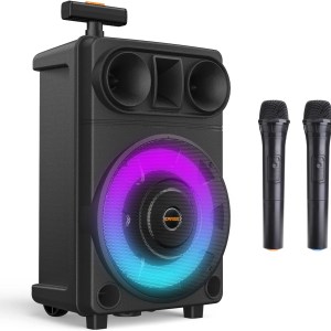 EARISE R18 Portable PA System Speaker with 2 Wireless Microphones, 8” Subwoofer & 1" Tweeter, RGB Lights, Supports