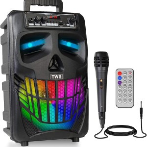 Karaoke Machine for Kids Adults Portable Wireless Bluetooth Speaker, Rechargeable PA System with Lights, Microphone, Support FM